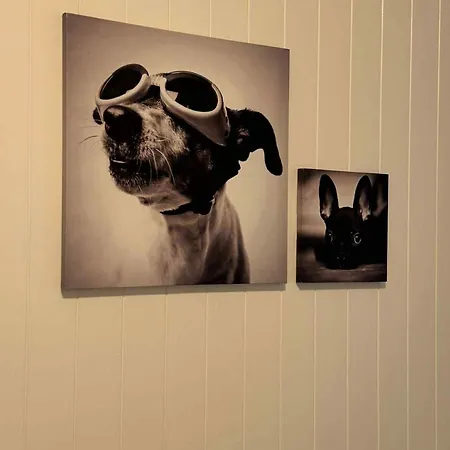 Cozy Lofoten Hideaway * Leknes