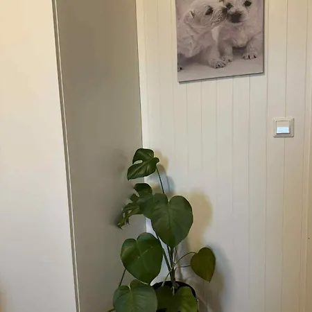 Cozy Lofoten Hideaway * Leknes